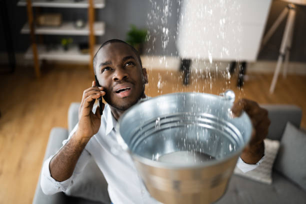 Best Ceiling water damage repair  in Bethel, NC