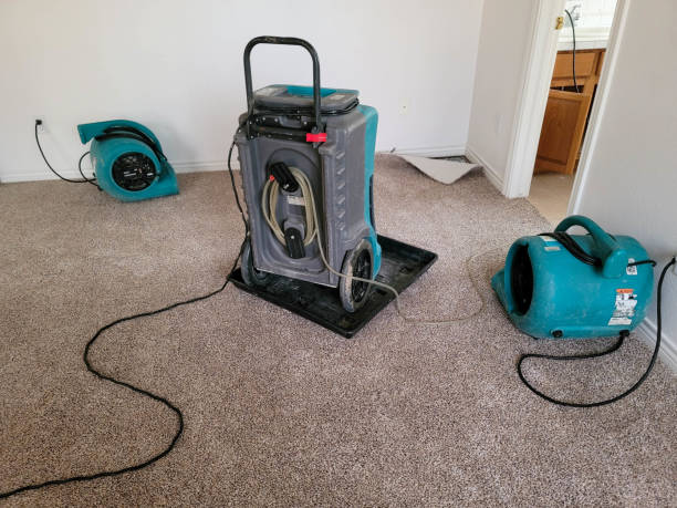 Best Water damage restoration insurance claims  in Bethel, NC