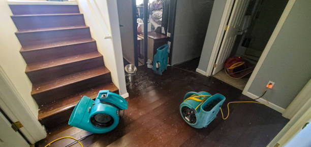 Best Water damage restoration near me  in Bethel, NC