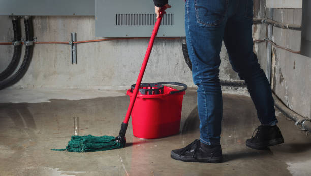 Best Ceiling water damage repair  in Bethel, NC