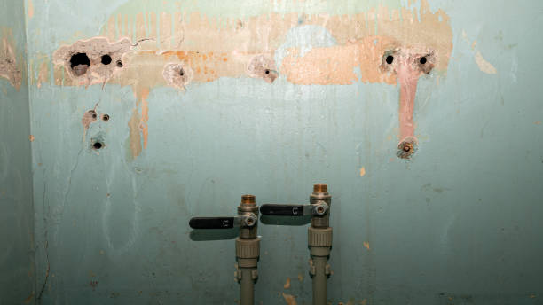 Best 24-hour water damage restoration  in Bethel, NC