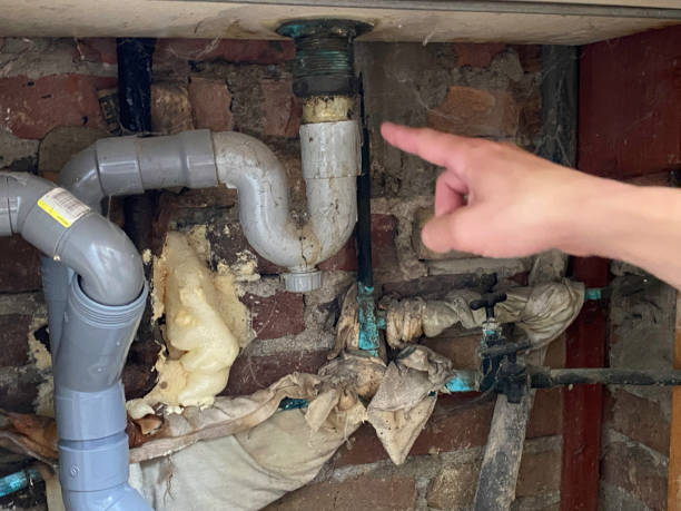 Best 24/7 water damage repair  in Bethel, NC